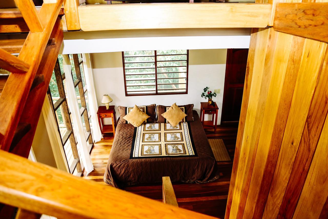 Amber Sunset Jungle Resort San Ignacio Luaran gambar