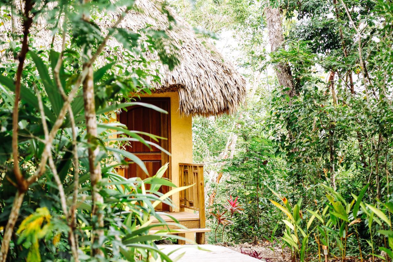 Amber Sunset Jungle Resort San Ignacio Luaran gambar