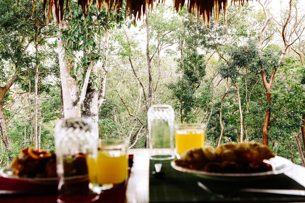 Amber Sunset Jungle Resort San Ignacio Luaran gambar